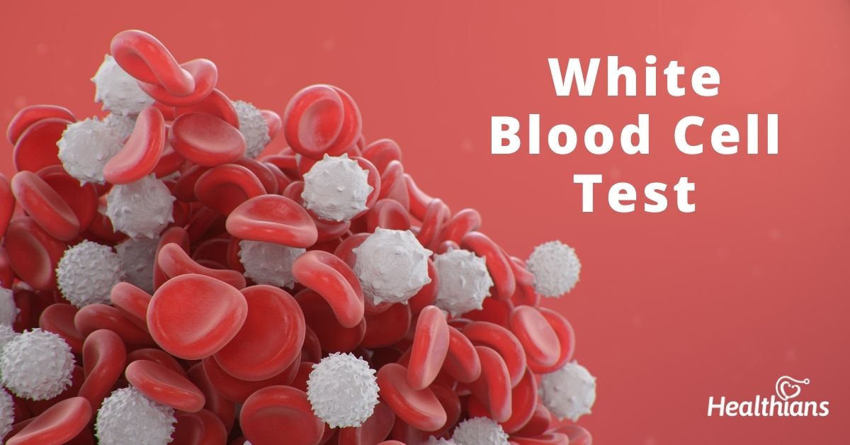 White Blood Cell Count (WBC) Test Purpose, Results & Range