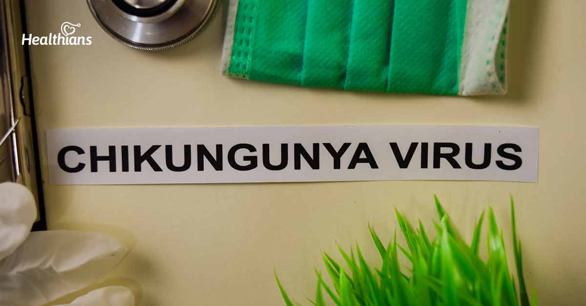 Chikungunya The 18 Most Frequently Asked Questions