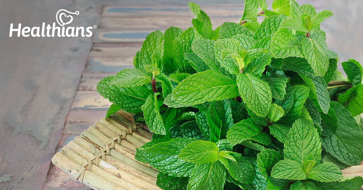 5 Benefits of Mint You Should Know 