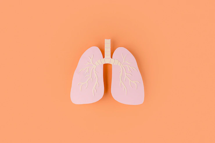 Foods And Drinks That Will Help You Detox Your Lungs