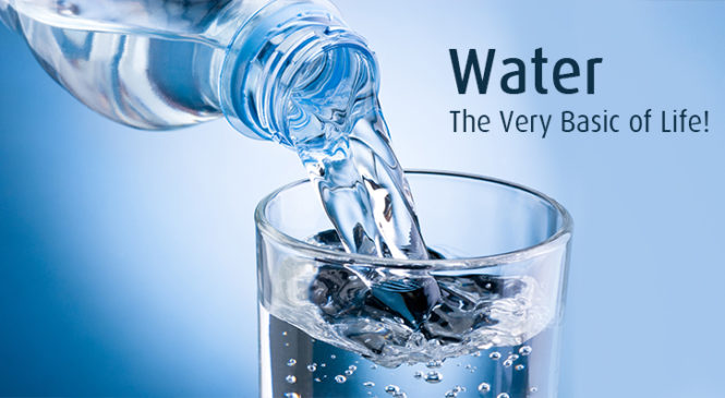 How much water does your body need every day?