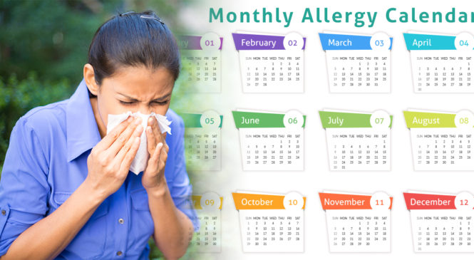 Your Month-By-Month Allergy Guide