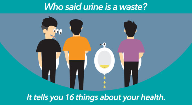Who Said Urine Is A Waste? It Tells 16 Things About Your Health