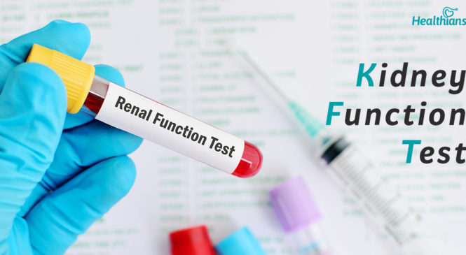 KFT: All You Need To Know About Kidney Function Test