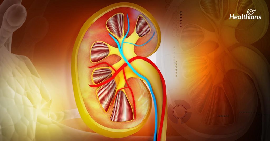 what-causes-kidney-problems-healthians