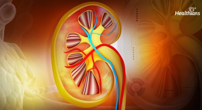 What causes kidney problems?