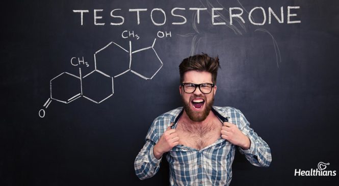 Truth About Testosterone