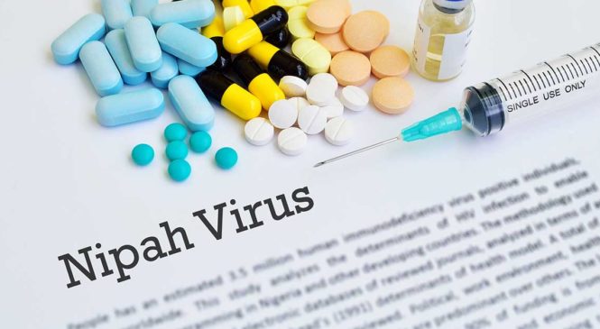 Understanding Nipah Virus