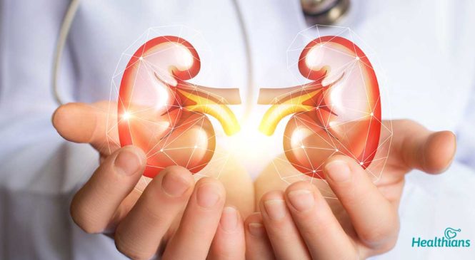 6 Healthcare Tips For Kidney Patients
