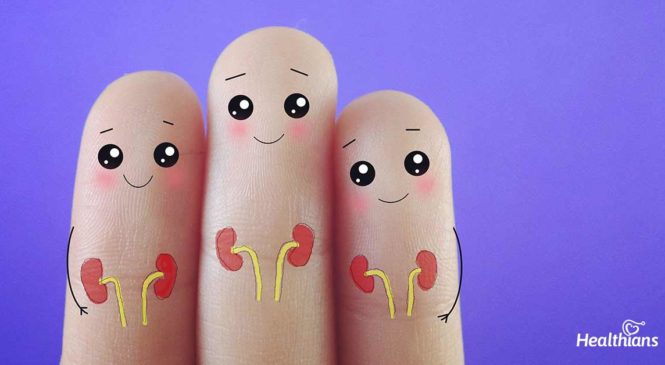 6 Golden Rules To Keep Your Kidneys Healthy