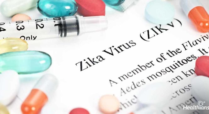 All You Need To Know About Zika Virus