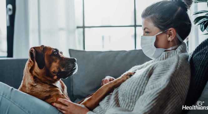 Can cats and dogs get coronavirus?