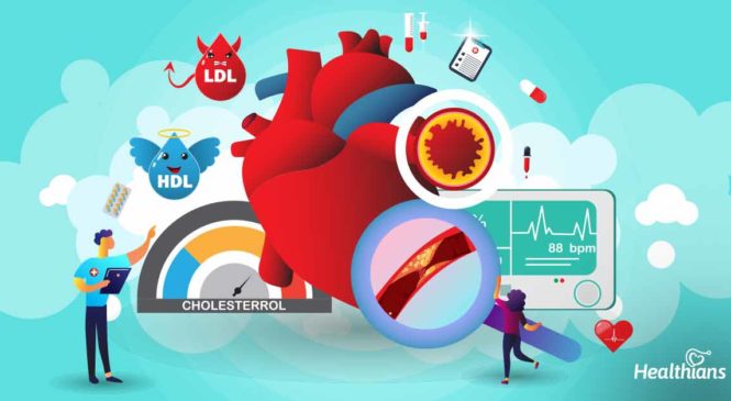 What role does cholesterol play in the body?