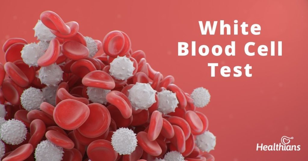 What Is Wbc Count In Blood Work