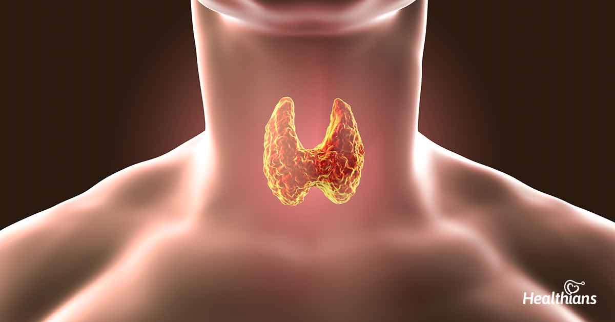 thyroid myths