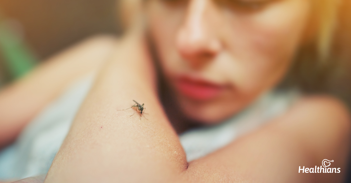 Mosquito sits on human skin. Pain, danger of infection. Sick girl symptom itchy arm close up shot.