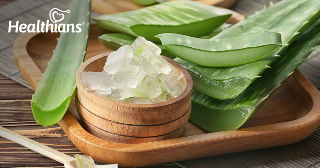 5 Aloe Vera Benefits You Must Know
