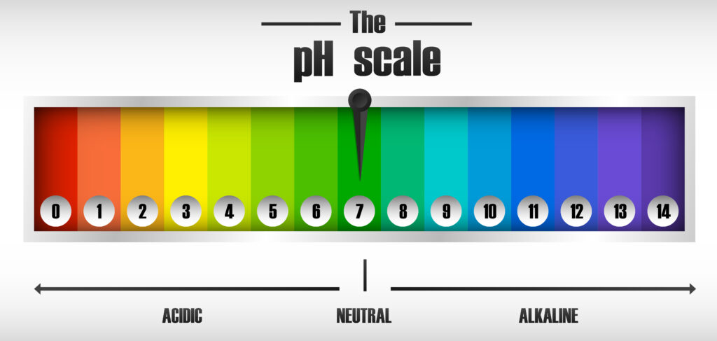 What is pH balance in the human body?